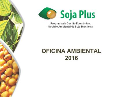 Programa de Gestão Econômica, Social e Ambiental da Soja Brasileira OFICINA AMBIENTAL 2016.