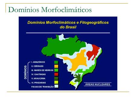 Domínios Morfoclimáticos. Vegetação do Brasil Floresta Tropical Litoral do Brasil: Mata Atlântica Reduzida a menos de 10%. Latifoliada, ombrófila, densa,