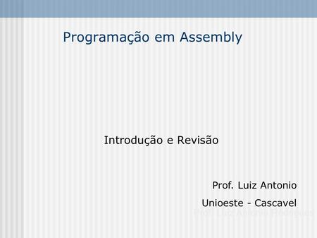 Programação em Assembly Introdução e Revisão Prof. Luiz Antonio Rodrigues Prof. Luiz Antonio Unioeste - Cascavel Jpanel e Diagramadores.