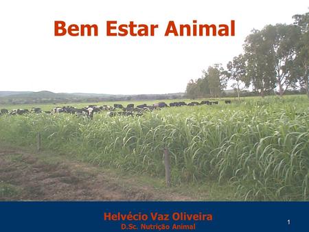 1 Helvécio Vaz Oliveira D.Sc. Nutrição Animal Bem Estar Animal.