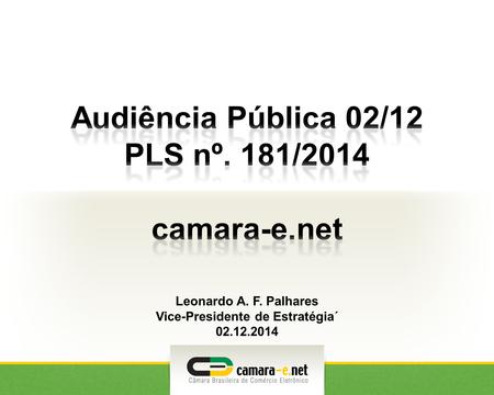 Leonardo A. F. Palhares Vice-Presidente de Estratégia´ 02.12.2014.