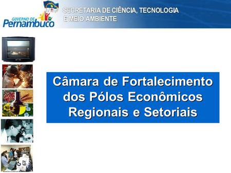 Câmara de Fortalecimento dos Pólos Econômicos Regionais e Setoriais.