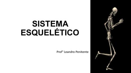 SISTEMA ESQUELÉTICO Prof° Leandro Penitente. DIVISÃO DO CORPO HUMANO.
