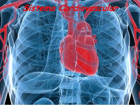 Sistema Cardiovascular. O sistema circulatório também chamado de sistema cardiovascular é constituído por: coração, vasos sanguíneos (artérias, veias.