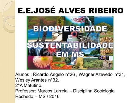 E.E.JOSÉ ALVES RIBEIRO Alunos : Ricardo Angelo n°26, Wagner Azevedo n°31, Wesley Arantes n°32. 2°A Matutino. Professor: Marcos Larreia - Disciplina Sociologia.