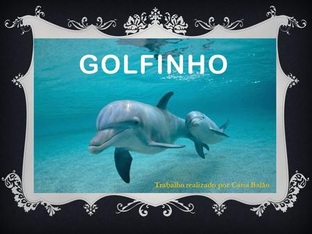 GOLFINHO Trabalho realizado por Cátia Balão.  Os golfinhos ou delfins são animais cetáceos pertencentes à família Delphinidae. São perfeitamente adaptados.