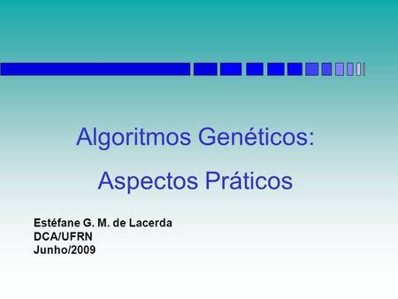 Algoritmos Genéticos: Aspectos Práticos Estéfane G. M. de Lacerda DCA/UFRN Junho/2009.