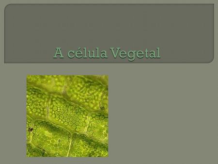 A célula vegetal é uma unidade orgânica delimitada pela membrana plasmática e por parede celular,composta de celulose.