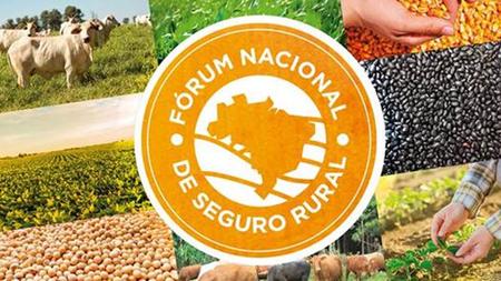 08 de Agosto de 2016 Seguro Agrícola no Brasil Uma visão estratégica de sua importância para a economia brasileira (Estudo Realizado em Julho de 2012)