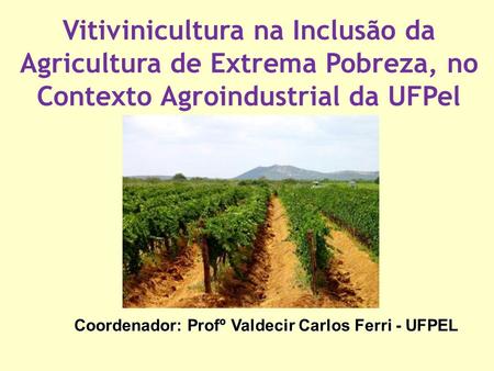 Coordenador: Profº Valdecir Carlos Ferri - UFPEL Vitivinicultura na Inclusão da Agricultura de Extrema Pobreza, no Contexto Agroindustrial da UFPel.