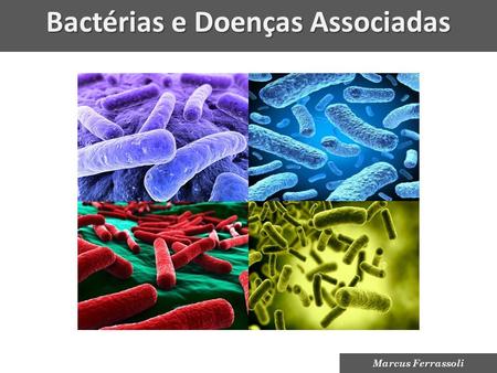 Bactérias e Doenças Associadas Marcus Ferrassoli.