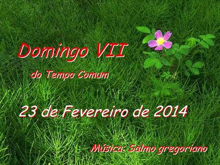 23 de Fevereiro de 2014 Domingo VII do Tempo Comum Domingo VII do Tempo Comum Música: Salmo gregoriano.