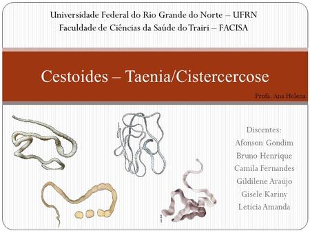 Cestoides – Taenia/Cistercercose Universidade Federal do Rio Grande do Norte – UFRN Faculdade de Ciências da Saúde do Trairi – FACISA Discentes: Afonson.
