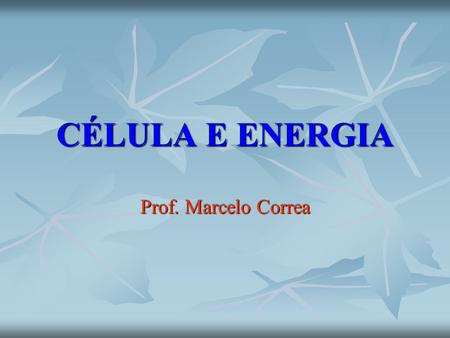 CÉLULA E ENERGIA Prof. Marcelo Correa. CITOLOGIA Organização geral da célula eucariótica - Citoplasma – Citoesqueleto  =  MICROFILAMENTOS e MICROTÚBULOS.