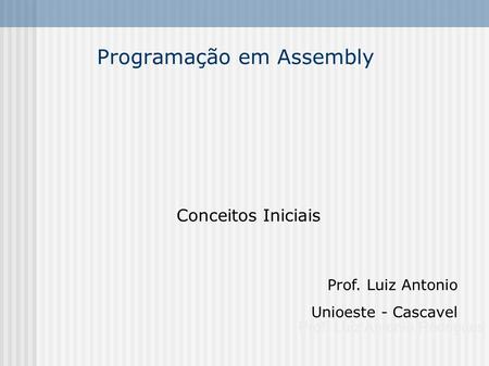Programação em Assembly Conceitos Iniciais Prof. Luiz Antonio Rodrigues Prof. Luiz Antonio Unioeste - Cascavel Jpanel e Diagramadores.
