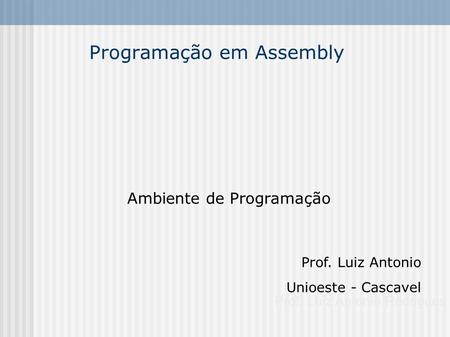 Programação em Assembly Ambiente de Programação Prof. Luiz Antonio Rodrigues Prof. Luiz Antonio Unioeste - Cascavel Jpanel e Diagramadores.
