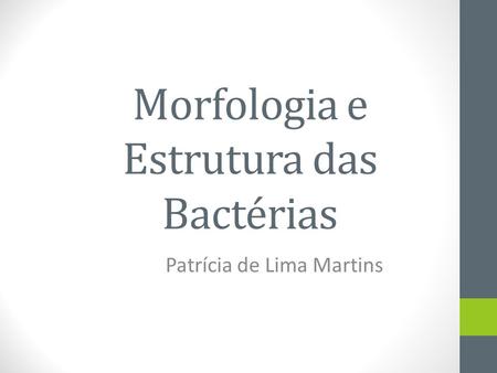 Morfologia e Estrutura das Bactérias Patrícia de Lima Martins.