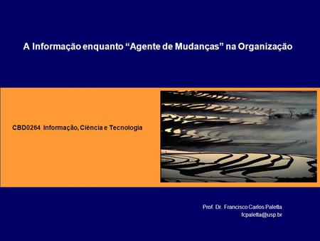 CBD0264 Informação, Ciência e Tecnologia Prof. Dr. Francisco Carlos Paletta A Informação enquanto “Agente de Mudanças” na Organização.