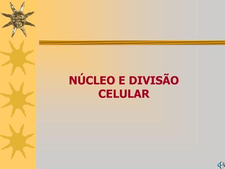 NÚCLEO E DIVISÃO CELULAR O núcleo celular (descoberto por Robert Brown, 1833) é uma estrutura presente nas células eucarióticas, que contém o DNA da.