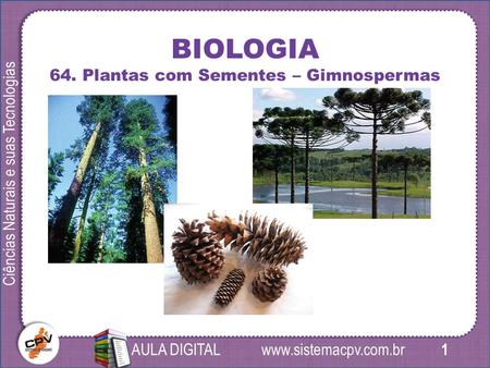 1 Ciências Naturais e suas Tecnologias AULA DIGITAL BIOLOGIA 64. Plantas com Sementes – Gimnospermas.