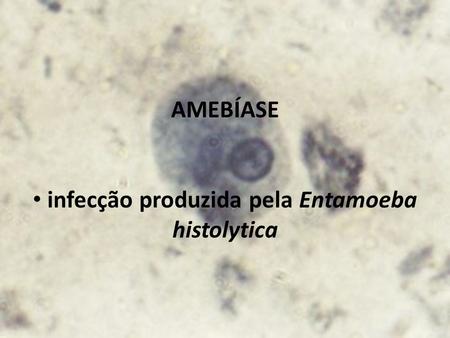 AMEBÍASE infecção produzida pela Entamoeba histolytica.