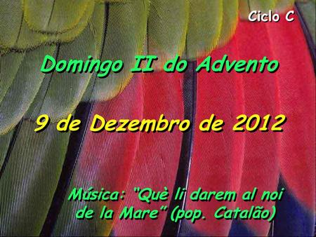 Ciclo C Domingo II do Advento 9 de Dezembro de 2012 Música: “Què li darem al noi de la Mare” (pop. Catalão)