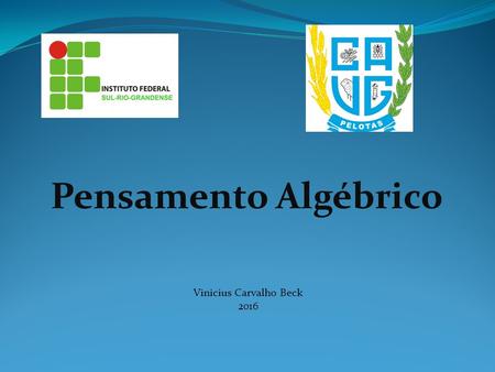 Vinicius Carvalho Beck 2016 Pensamento Algébrico.