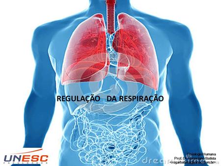 REGULAÇÃO DA RESPIRAÇÃO Fisiologia Humana Prof. Dr. Rogaciano Batista.