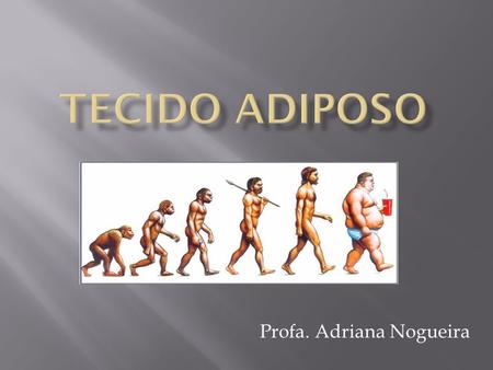 Profa. Adriana Nogueira. Células são os adipócitos. Constitui o panículo adiposo (localizado sob a pele). Funções - reserva energética - proteção contra.