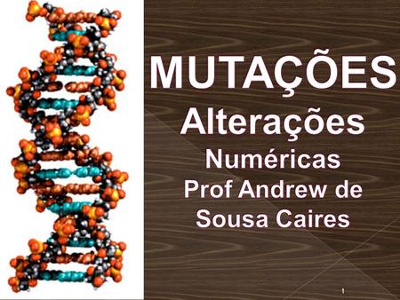 1.  São mudanças na sequência dos nucleotídeos do material genético de um organismo. nucleotídeosmaterial genético  Podem ser causadas por erros de.