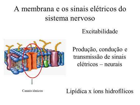 A membrana e os sinais elétricos do sistema nervoso Excitabilidade Produção, condução e transmissão de sinais elétricos – neurais Lipídica x íons hidrofílicos.