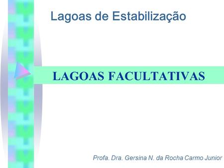 Lagoas de Estabilização Profa. Dra. Gersina N. da Rocha Carmo Junior LAGOAS FACULTATIVAS.