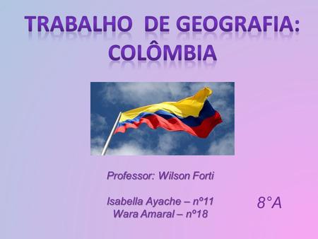 Professor: Wilson Forti Isabella Ayache – nº11 Wara Amaral – nº18 8°A.
