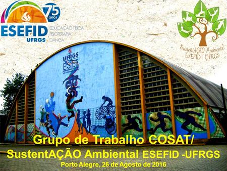 Grupo de Trabalho COSAT/ SustentAÇÃO Ambiental ESEFID -UFRGS Porto Alegre, 26 de Agosto de 2016.