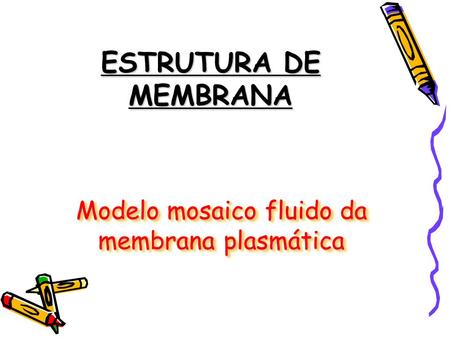 ESTRUTURA DE MEMBRANA Modelo mosaico fluido da membrana plasmática.