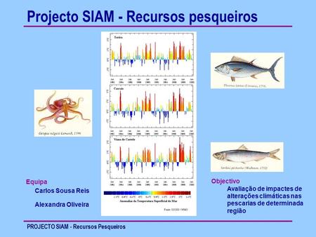 PROJECTO SIAM - Recursos Pesqueiros Projecto SIAM - Recursos pesqueiros Equipa Carlos Sousa Reis Alexandra Oliveira Objectivo Avaliação de impactes de.