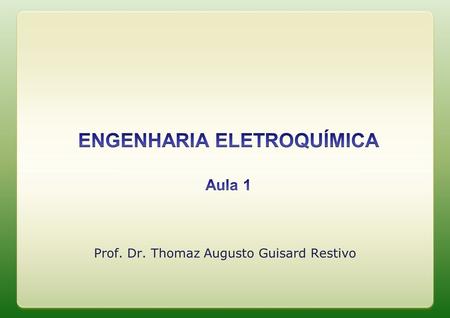 Prof. Dr. Thomaz Augusto Guisard Restivo. Ementa 1.Reações Eletroquímicas 2.Termodinâmica de reações eletroquímicas 3.Cinética de eletrodo 4.Processos.