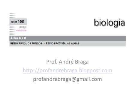 Prof. André Braga