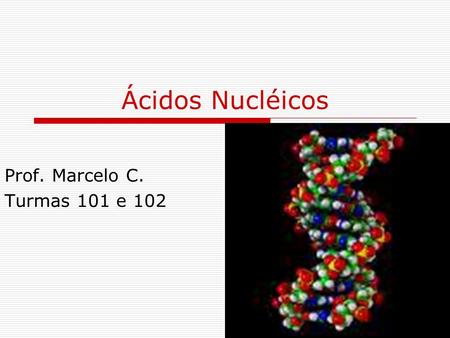 Ácidos Nucléicos Prof. Marcelo C. Turmas 101 e 102.