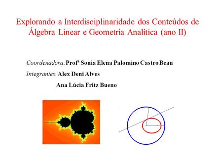 Coordenadora: Profª Sonia Elena Palomino Castro Bean