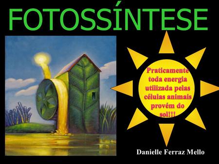 FOTOSSÍNTESE Praticamente toda energia utilizada pelas células animais provém do sol!!! Danielle Ferraz Mello.