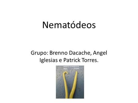 Grupo: Brenno Dacache, Angel Iglesias e Patrick Torres.