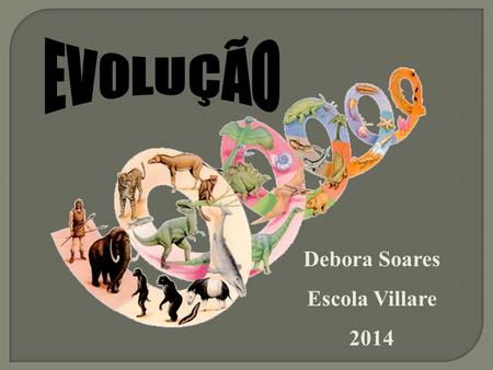 EVOLUÇÃO Debora Soares Escola Villare 2014.