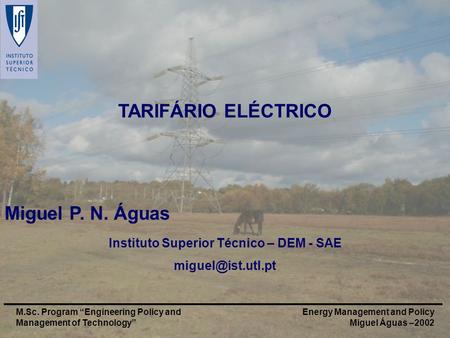 Energy Management and Policy Miguel Águas –2002 M.Sc. Program Engineering Policy and Management of Technology TARIFÁRIO ELÉCTRICO Miguel P. N. Águas Instituto.