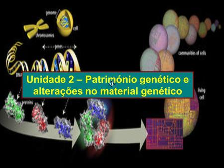Unidade 2 – Património genético e alterações no material genético