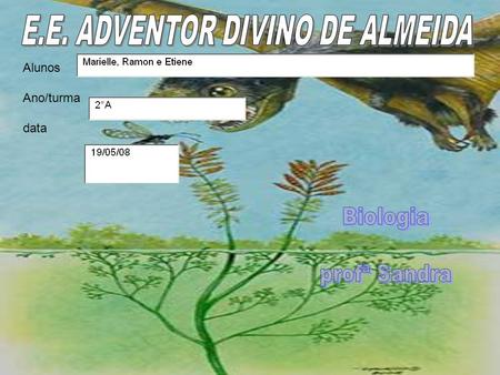 E.E. ADVENTOR DIVINO DE ALMEIDA