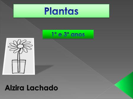 Plantas 1º e 3º anos Alzira Lachado.