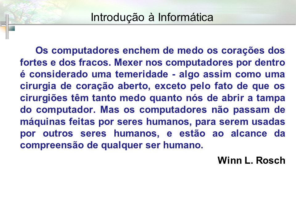 1 IntroduçãO A InformáTica