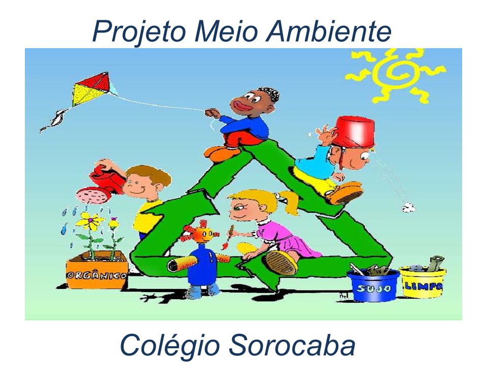 Projeto Meio Ambiente Colégio Sorocaba. - ppt video online carregar