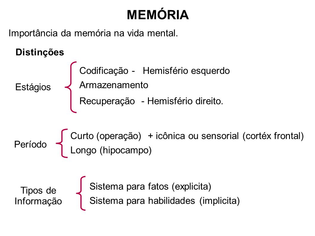 A importância da memória
